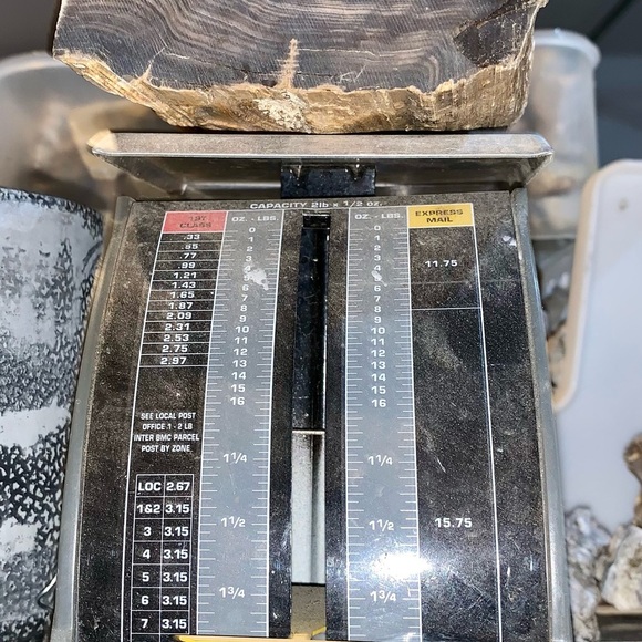 Petrified Wood Chunk almost 2 pounds! - Picture 7 of 8